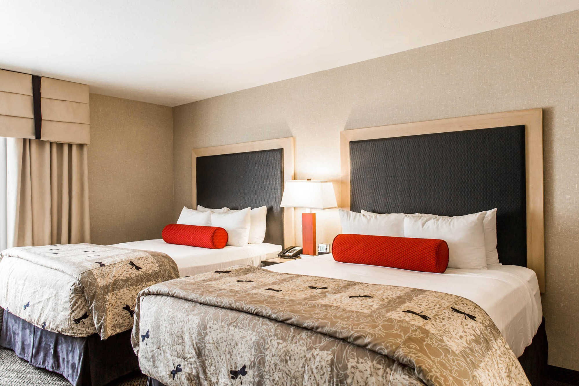 Springhill Suites By Marriott Роаноук Стая снимка