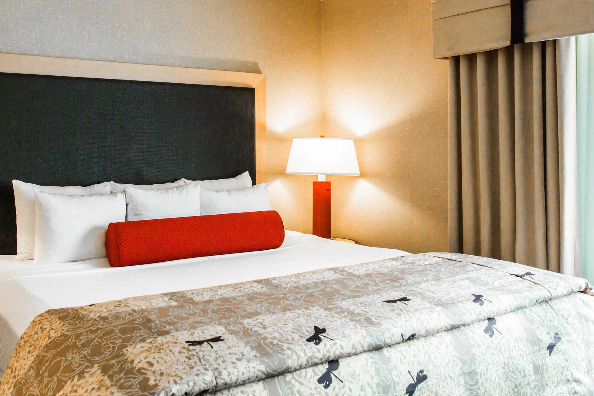 Springhill Suites By Marriott Роаноук Стая снимка