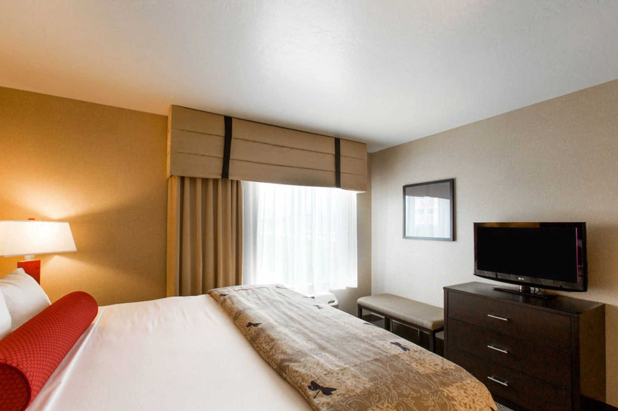 Springhill Suites By Marriott Роаноук Стая снимка