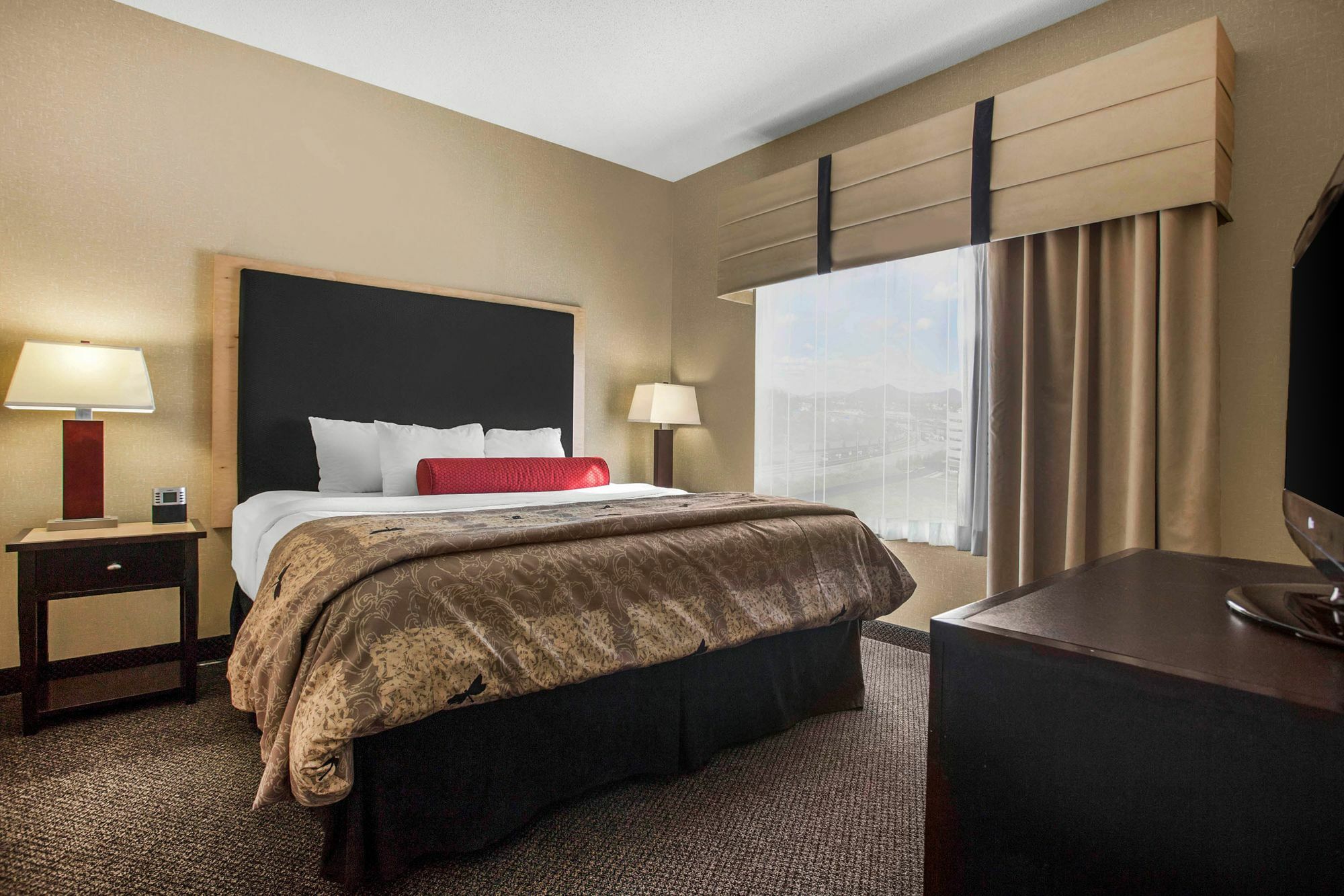 Springhill Suites By Marriott Роаноук Екстериор снимка